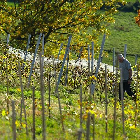 Winnica Agat Świerzawa Εξωτερικό φωτογραφία